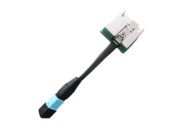 1751966996123693.jpg 螭虎LCC.jpg