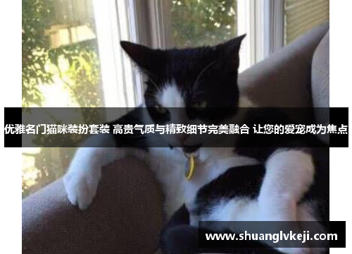 优雅名门猫咪装扮套装 高贵气质与精致细节完美融合 让您的爱宠成为焦点